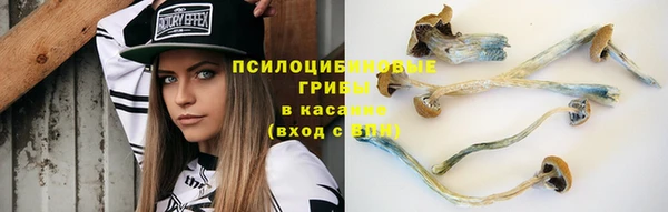 MESCALINE Алзамай