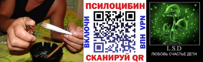 как найти наркотики  Лениногорск  omg маркетплейс  Галлюциногенные грибы Psilocybe 